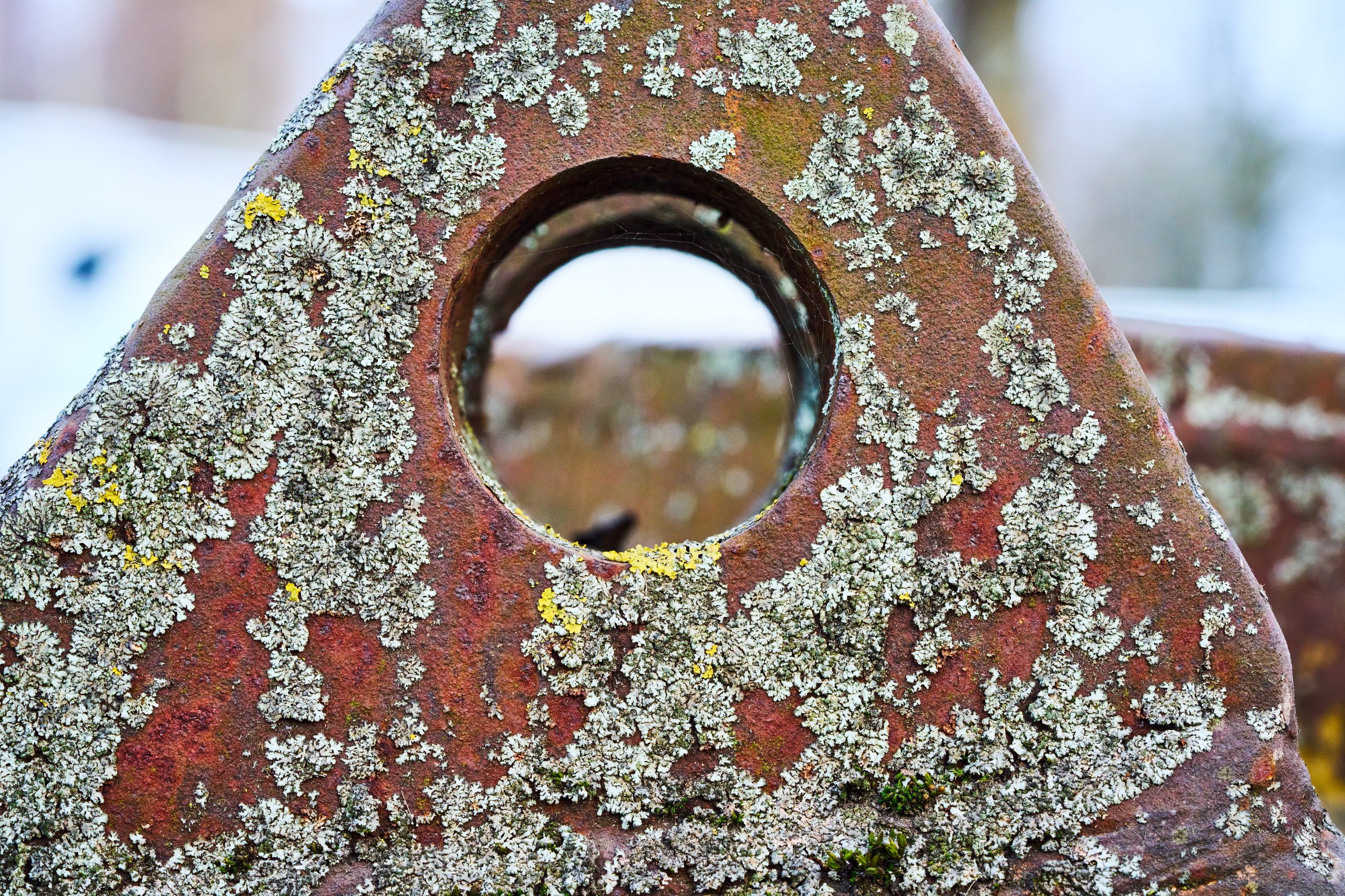 2026 03 07 Landschaftspark Nord 0300